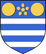 Thumbnail Aicken Family Crest / Irish Coat of Arms Image Download