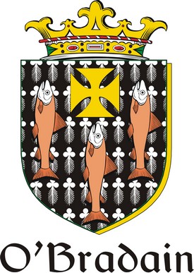 Thumbnail Bradain-O Family Crest / Irish Coat of Arms Image Download