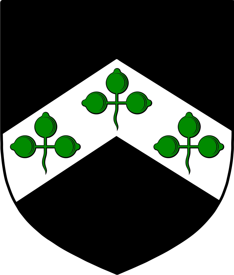 Thumbnail Davis  Family Crest / Irish Coat of Arms Image Download