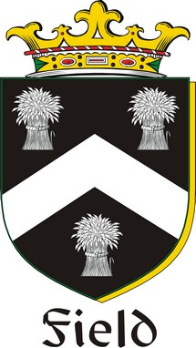 Thumbnail Field Family Crest / Irish Coat of Arms Image Download