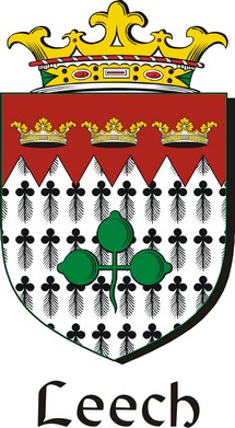 Thumbnail Leech Family Crest / Irish Coat of Arms Image Download