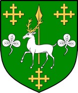 Thumbnail MacCurtin Family Crest / Irish Coat of Arms Image Download