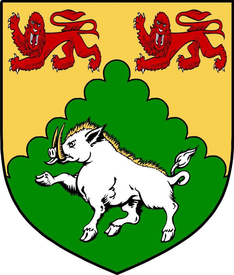 Thumbnail MacDonogh Family Crest / Irish Coat of Arms Image Download