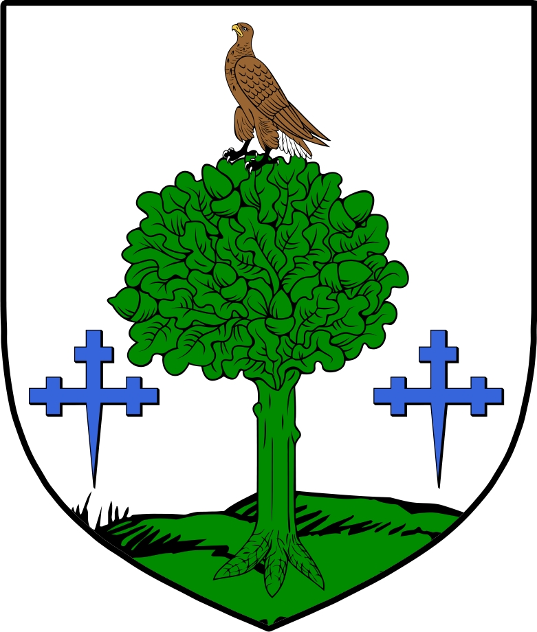 Thumbnail O‘Concannon Family Crest / Irish Coat of Arms Image Download Thumbnail O‘Concannon Family Crest / Irish Coat of Arms Image Download