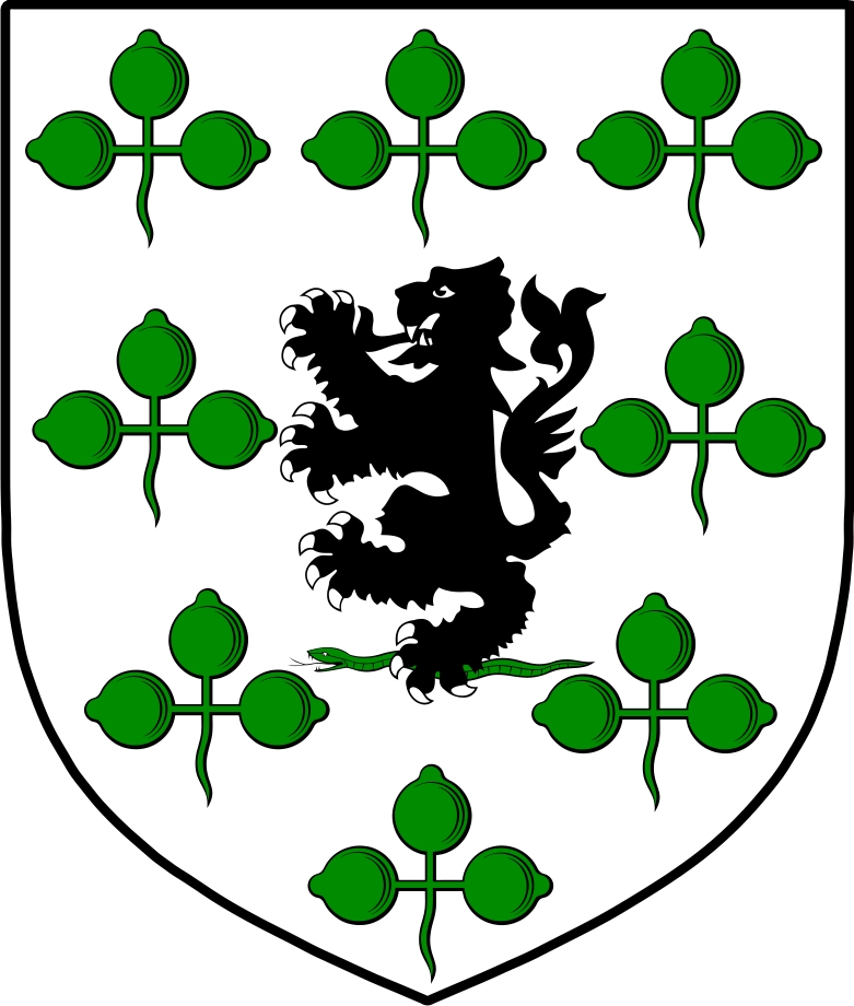 Thumbnail O‘Gallagher Family Crest / Irish Coat of Arms Image Download Thumbnail O‘Gallagher Family Crest / Irish Coat of Arms Image Download