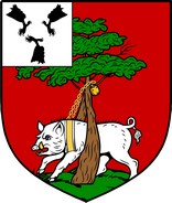 Thumbnail Owens  Family Crest / Irish Coat of Arms Image Download