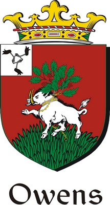Thumbnail Owens Family Crest / Irish Coat of Arms Image Download