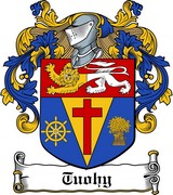 Thumbnail Tuohy Family Crest / Irish Coat of Arms Image Download