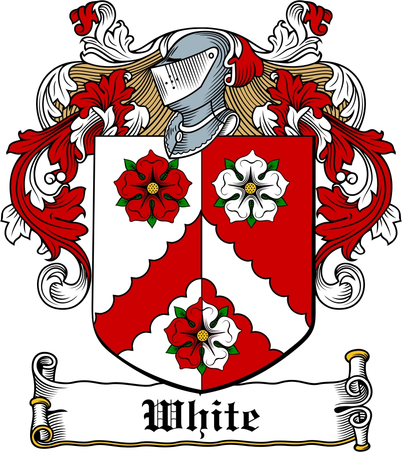 Thumbnail White Family Crest / Irish Coat of Arms Image Download