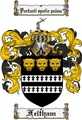 Thumbnail Feltham Family Crest Feltham Coat of Arms Digital Download