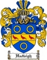 Thumbnail Hadleigh-2 Family Crest Hadleigh-2 Coat of Arms Digital Download