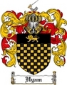 Thumbnail Hyam Family Crest Hyam Coat of Arms Digital Download