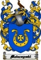 Thumbnail Mataczynski Family Crest  Mataczynski Coat of Arms Digital Download