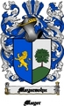 Thumbnail Mayersohn Family Crest  Mayersohn Coat of Arms Digital Download