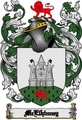 Thumbnail Mcelhinney Family Crest Mcelhinney Coat of Arms Digital Download Thumbnail Mcelhinney Family Crest Mcelhinney Coat of Arms Digital Download