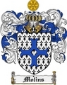 Thumbnail Molins Family Crest Molins Coat of Arms Digital Download