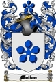 Thumbnail Motion Family Crest  Motion Coat of Arms Digital Download