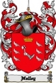 Thumbnail Nalley Family Crest  Nalley Coat of Arms Digital Download
