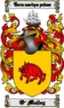 Thumbnail O-Malley Family Crest  O-Malley Coat of Arms Digital Download
