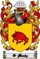 Thumbnail O-Mealy Family Crest  O-Mealy Coat of Arms Digital Download