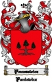 Thumbnail Panasewicz Family Crest Panasewicz Coat of Arms Digital Download Thumbnail Panasewicz Family Crest Panasewicz Coat of Arms Digital Download