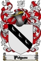 Thumbnail Pidgeon Family Crest Pidgeon Coat of Arms Digital Download Thumbnail Pidgeon Family Crest Pidgeon Coat of Arms Digital Download