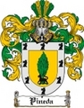 Thumbnail Pineda Family Crest Pineda Coat of Arms Digital Download Thumbnail Pineda Family Crest Pineda Coat of Arms Digital Download