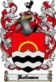 Thumbnail Rolinson Family Crest  Rolinson Coat of Arms Digital Download