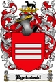 Thumbnail Rynkowski Family Crest  Rynkowski Coat of Arms Digital Download