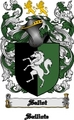 Thumbnail Saliot Family Crest  Saliot Coat of Arms Digital Download
