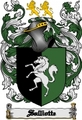 Thumbnail Salliotte Family Crest  Salliotte Coat of Arms Digital Download