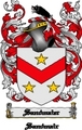 Thumbnail Sandmaier Family Crest  Sandmaier Coat of Arms Digital Download