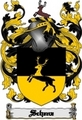 Thumbnail Schenz Family Crest  Schenz Coat of Arms Digital Download