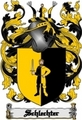 Thumbnail Schlechter Family Crest  Schlechter Coat of Arms Digital Download