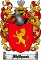 Thumbnail Shilhanek Family Crest  Shilhanek Coat of Arms Digital Download