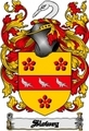 Thumbnail Slowey Family Crest  Slowey Coat of Arms Digital Download