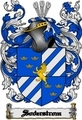 Thumbnail Soderstrom Family Crest  Soderstrom Coat of Arms Digital Download