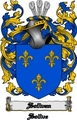 Thumbnail Soliven Family Crest  Soliven Coat of Arms Digital Download