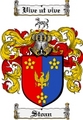 Thumbnail Stoan Family Crest  Stoan Coat of Arms