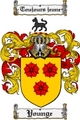 Thumbnail Younge Family Crest  Younge Coat of Arms