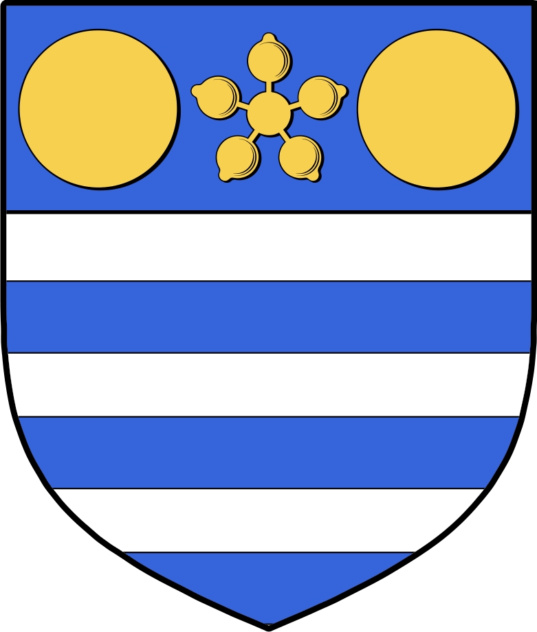 Product picture Aicken Family Crest / Irish Coat of Arms Image Download