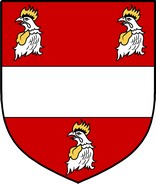 Product picture Alcock  Family Crest / Irish Coat of Arms Image Download