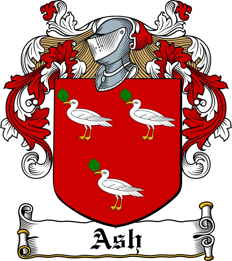 Product picture Ash Family Crest / Irish Coat of Arms Image Download