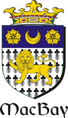 Product picture Bay-Mac Family Crest / Irish Coat of Arms Image Download