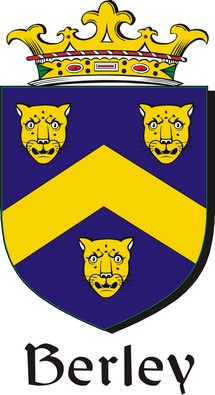 Product picture Berley Family Crest / Irish Coat of Arms Image Download