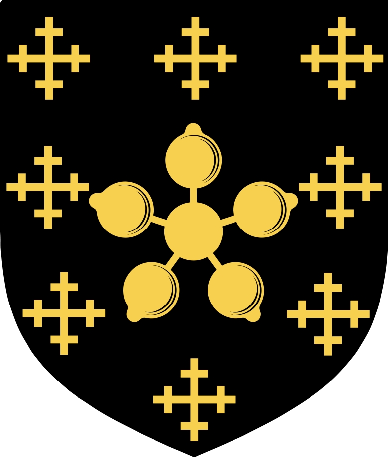 Product picture Best Family Crest / Irish Coat of Arms Image Download