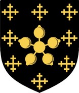 Product picture Best Family Crest / Irish Coat of Arms Image Download