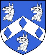 Product picture Birch Family Crest / Irish Coat of Arms Image Download