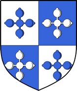 Product picture Blood Family Crest / Irish Coat of Arms Image Download