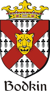 Product picture Bodkin Family Crest / Irish Coat of Arms Image Download